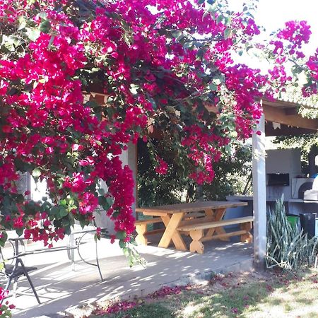 Reserva Jasmim Manga Villa Pirenópolis Esterno foto