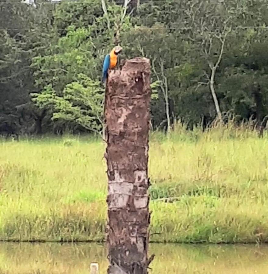 Reserva Jasmim Manga Villa Pirenópolis Esterno foto